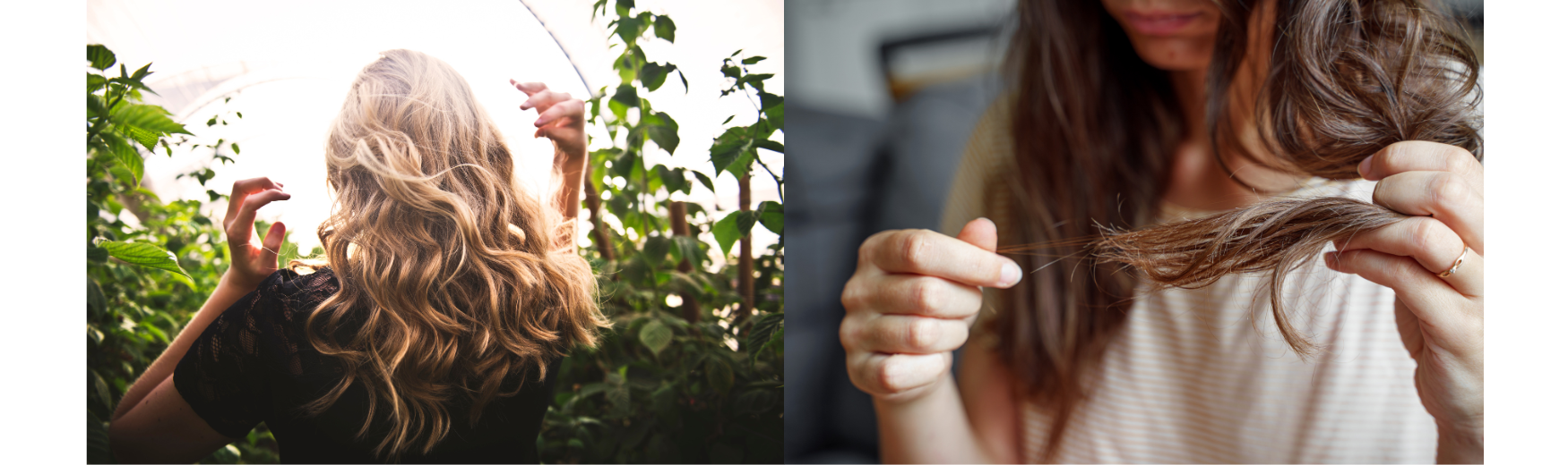 smoke 3 cigarettes a day No Safe Level of Smoking