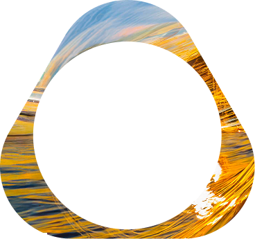 Sunset ocean IQOS key