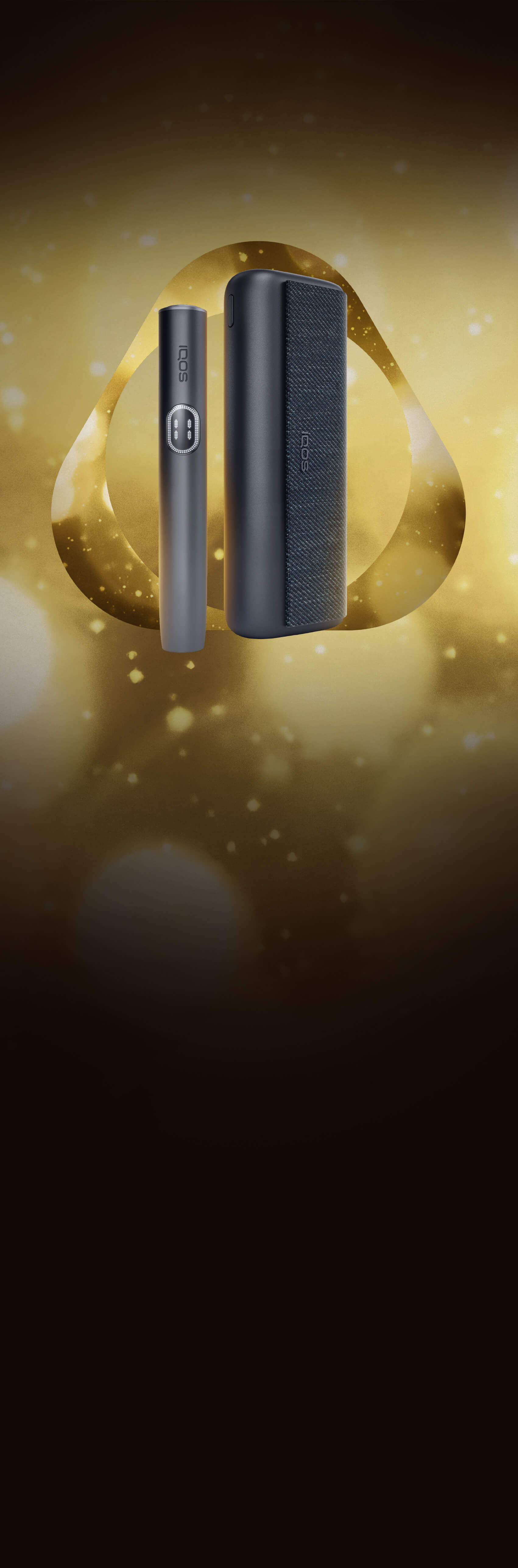 Winter Wonders Background